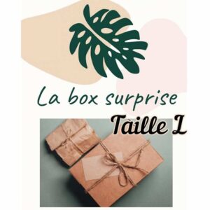 box cadeau surprise